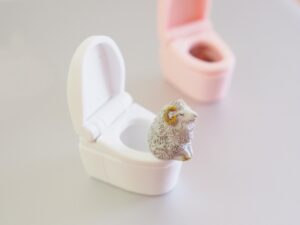 ひつじさんの優雅なトイレタイム