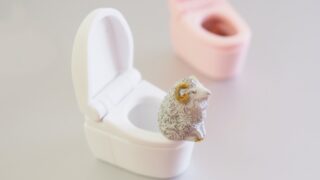 ひつじさんの優雅なトイレタイム