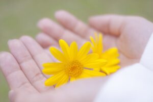 手に乗せた花