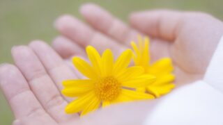 手に乗せた花
