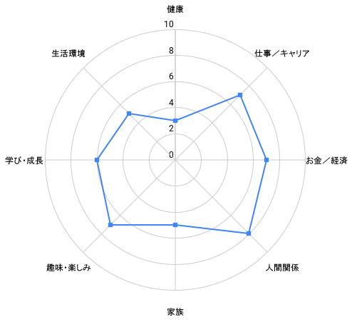 人生の輪（バランスホイール）の例