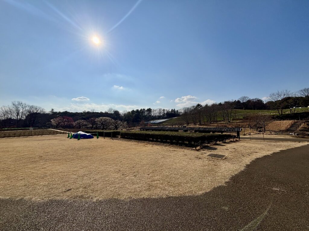 昭和記念公園