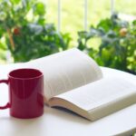 緑のあるベランダで読書