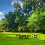 デンマークの美しい公園_緑いっぱい