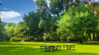 デンマークの美しい公園_緑いっぱい