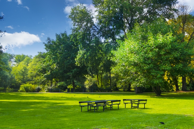 デンマークの美しい公園_緑いっぱい