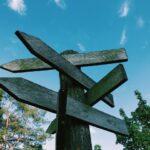 森の分岐点に立つ道しるべ